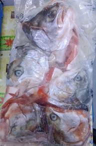 Kepala Ikan Salmon / Salmon Head (Frozen)