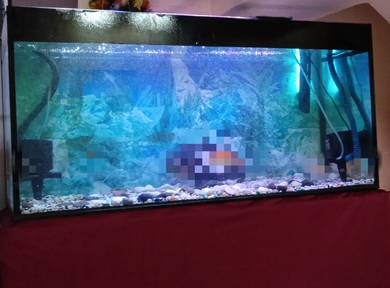 jual Aquarium 