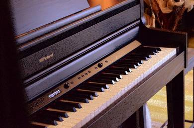 Roland HP-704 SuperNATURAL Digital Piano