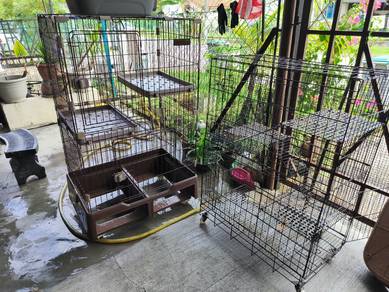 Sangkar Kucing