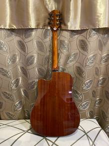 Akustik gitar Tiger Rogen TG20