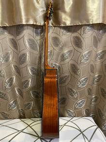 Akustik gitar Tiger Rogen TG20