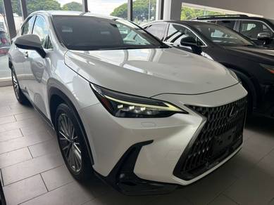 Lexus NX 250 2.5 WHITE 9/10 CAR GUTGUTLATLAT