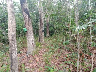 Tanah 3.06 ekar sesuai buat rumah