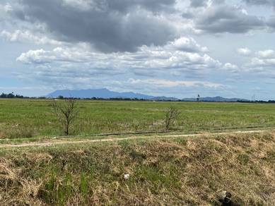 First Grade Agriculture Land Bumbung Lima Guar Kepah Kepala Batas