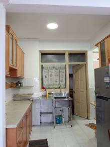 Kingfisher Series Condo Greenlane Island Park Fully Furnished Penang