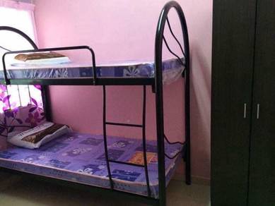 2sty Taman Universiti, UTHM Parit Raja