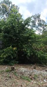 ‼️Lot Banglo untuk dijual  SEGERA  @ Dengkil/Salak Tinggi .