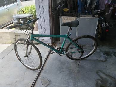 Raleigh mtb