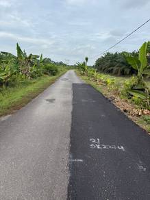 Tanah Pertanian 12 Ekar Freehold Pontian Tepi Jalan Tar 