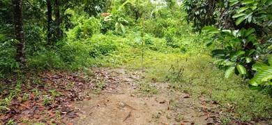 Tanah Kampung Untuk Dijual, Kampung Bikan, Labu Besar, Kedah