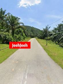 180 Acres Oil Plam Land for SALE @ Baling Kedah
