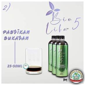 Daun pecah beling