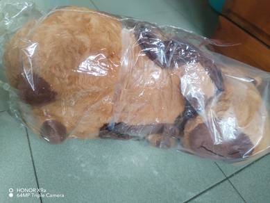 New capybara cute toy