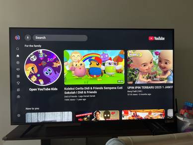 65” 4k TV - Hisense Google TV (65A6500G)