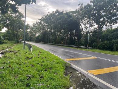Saya nak jual Tanah 1 Ekar Lebih Murah di Langkawi TEPI JALAN BESAR 