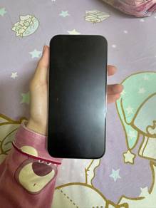 iPhone 16 promax