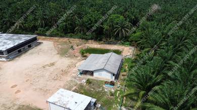 【FREEHOLD】Nice Shape Agriculture Land Jasin Rim Melaka for Sale