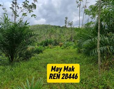 【FREEHOLD】Agriculture Land Selandar Melaka 3.5 acres for Sale