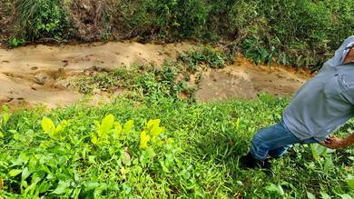 【FREEHOLD】Agriculture Land Selandar Melaka 3.5 acres for Sale