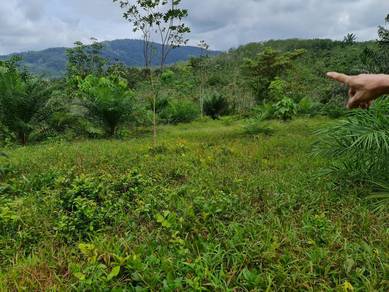 【FREEHOLD】Agriculture Land Selandar Melaka 3.5 acres for Sale
