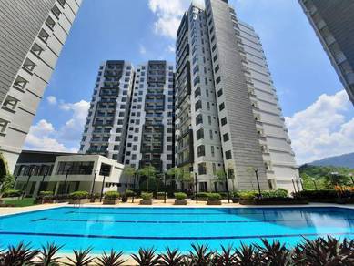 LegendView rent/sewa