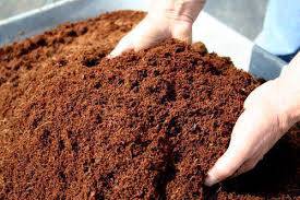 Cocopeat for Sale