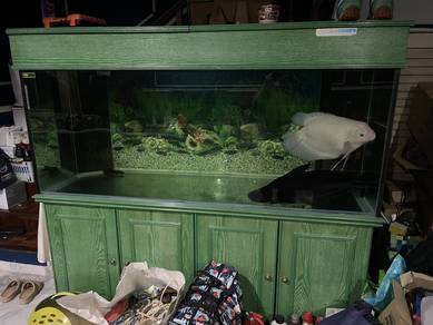aquarium 6x2.5x2.5 dah reseal complete semua media