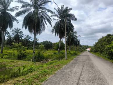 2.575 acres Orchard farm at Nusa Dusun Orchard Resort, Kuala Linggi