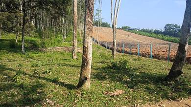 Agriculture Land for Sale