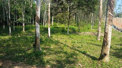 Agriculture Land for Sale