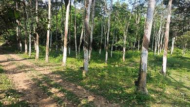 Agriculture Land for Sale