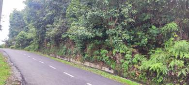 Sg Plong Sg Buluh Tanah Lot 1.97 Ekar /Freehold Malay Reservation