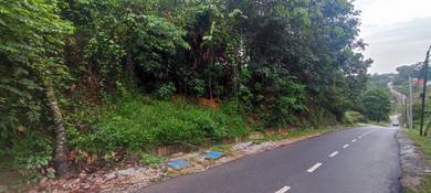 Sg Plong Sg Buluh Tanah Lot 1.97 Ekar /Freehold Malay Reservation