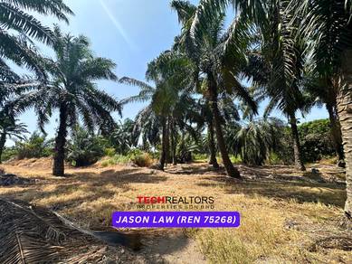 Kampung Selamat | Industrial Land - Beside Road | Tasek Gelugor Penang
