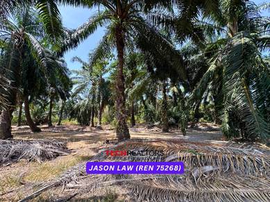 Kampung Selamat | Industrial Land - Beside Road | Tasek Gelugor Penang