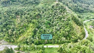 NT Land | 8 Acres | Roadside | River & Mountain View | Kota Belud |