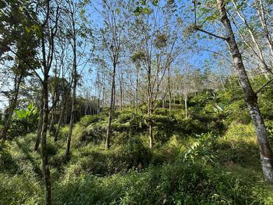 Pahang Bentong Jalan Manchis Freehold Agricultural Land 4-Acre Of Sale
