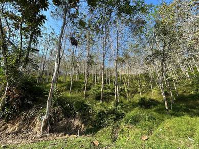 Pahang Bentong Jalan Manchis Freehold Agricultural Land 4-Acre Of Sale