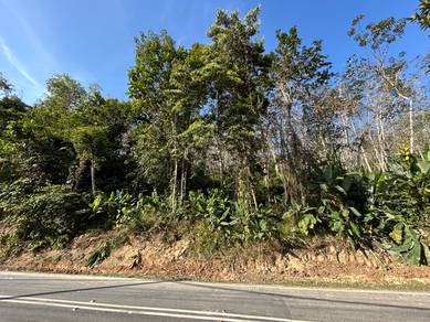 Pahang Bentong Jalan Manchis Freehold Agricultural Land 4-Acre Of Sale