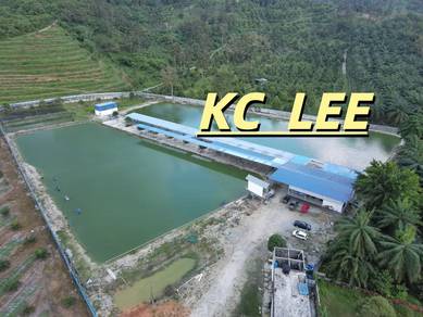 6.35 Acres Fishing Spot For Sale @ Taiping , Perak