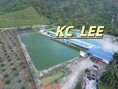 6.35 Acres Fishing Spot For Sale @ Taiping , Perak