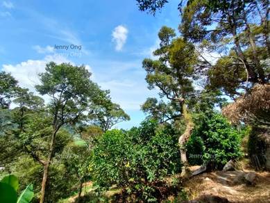 Durian Farm At Balik Pulau,Penang For Sale