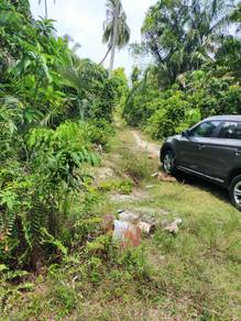 Agricutural in Permatang Pasir Balik Pulau Penang