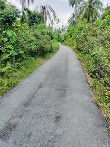 Agricutural in Permatang Pasir Balik Pulau Penang