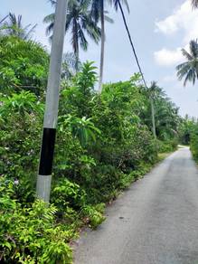 Agricutural in Permatang Pasir Balik Pulau Penang