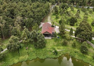 Resort Durian Musang King, Kolam Ikan Hulu Langat