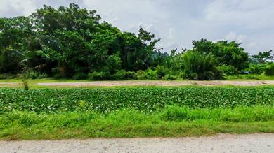 Below MV❗ Land Lot First Grade Agricultural | FREEHOLD | Juru ,PNG