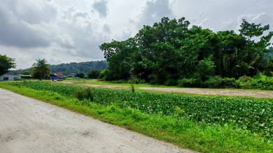 Below MV❗ Land Lot First Grade Agricultural | FREEHOLD | Juru ,PNG