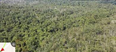 Mentakab 500acres land suit for Oil Palm, Rubber, Durian, fruits etc